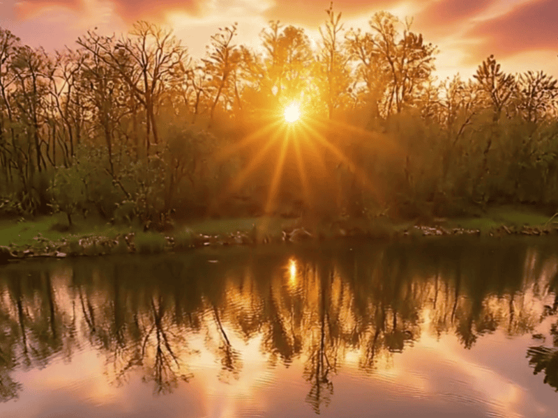 Sunrise - Up A Creek Campground